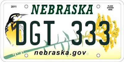 NE license plate DGT333