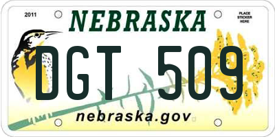 NE license plate DGT509