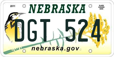 NE license plate DGT524