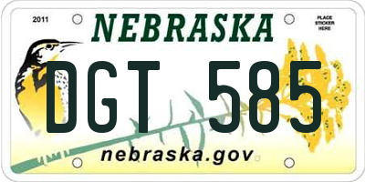 NE license plate DGT585