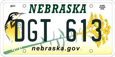 NE license plate DGT613