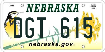 NE license plate DGT615