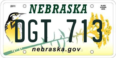 NE license plate DGT713