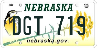 NE license plate DGT719