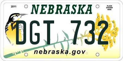 NE license plate DGT732