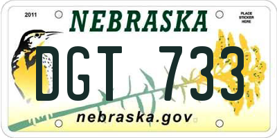 NE license plate DGT733