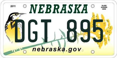 NE license plate DGT895