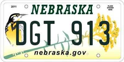 NE license plate DGT913