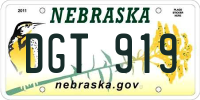 NE license plate DGT919