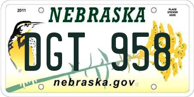 NE license plate DGT958