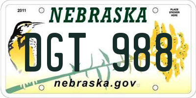NE license plate DGT988