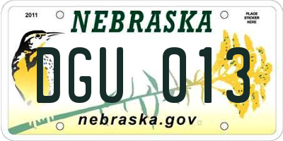 NE license plate DGU013