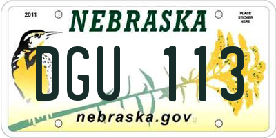 NE license plate DGU113
