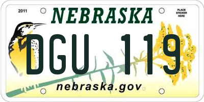 NE license plate DGU119