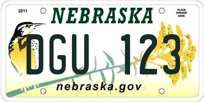 NE license plate DGU123