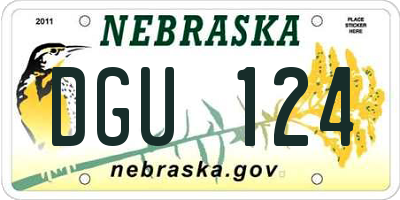 NE license plate DGU124