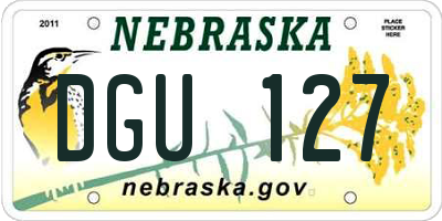 NE license plate DGU127