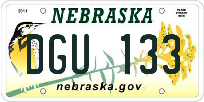 NE license plate DGU133
