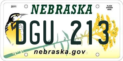 NE license plate DGU213