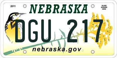 NE license plate DGU217