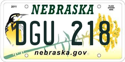 NE license plate DGU218