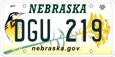NE license plate DGU219