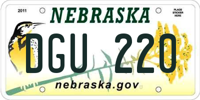 NE license plate DGU220