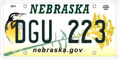 NE license plate DGU223