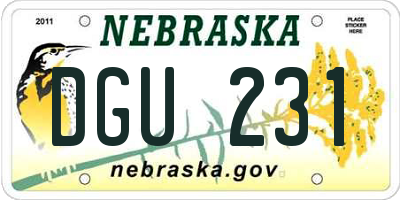 NE license plate DGU231