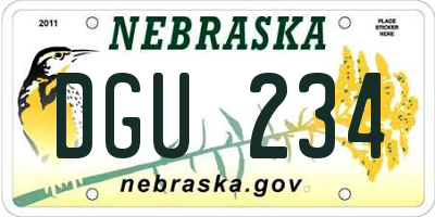 NE license plate DGU234