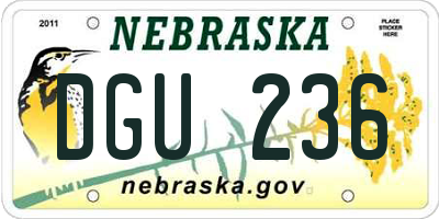 NE license plate DGU236