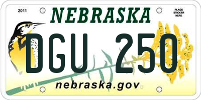 NE license plate DGU250