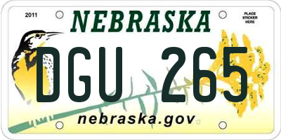 NE license plate DGU265
