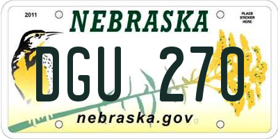 NE license plate DGU270