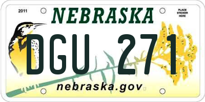 NE license plate DGU271