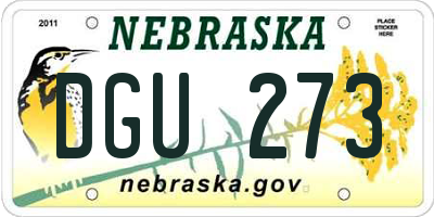 NE license plate DGU273