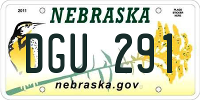 NE license plate DGU291