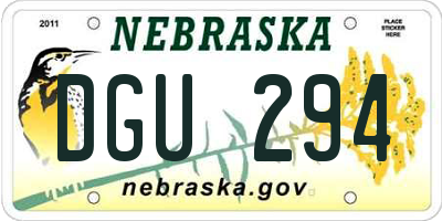 NE license plate DGU294