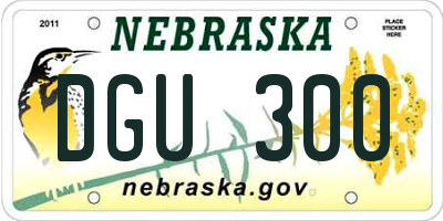NE license plate DGU300