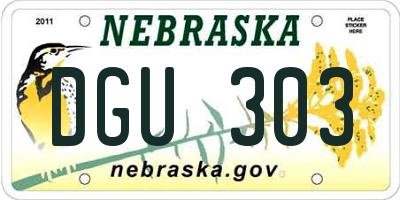NE license plate DGU303