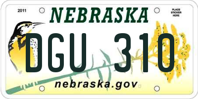 NE license plate DGU310