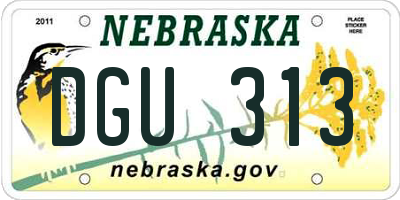 NE license plate DGU313