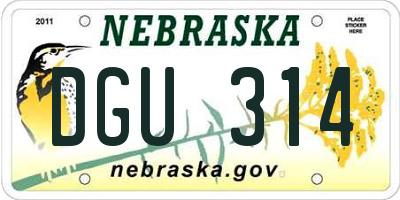 NE license plate DGU314