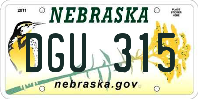 NE license plate DGU315