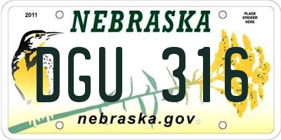 NE license plate DGU316