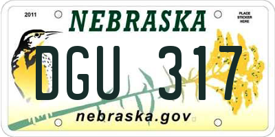 NE license plate DGU317