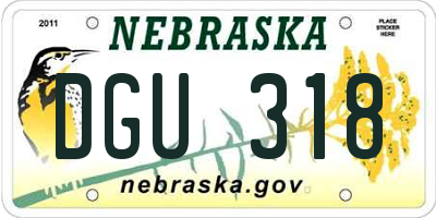 NE license plate DGU318