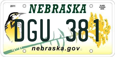 NE license plate DGU381