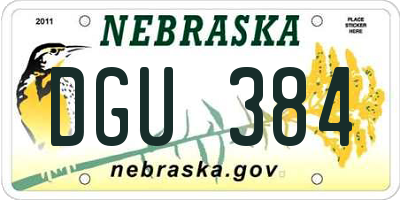 NE license plate DGU384