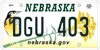 NE license plate DGU403
